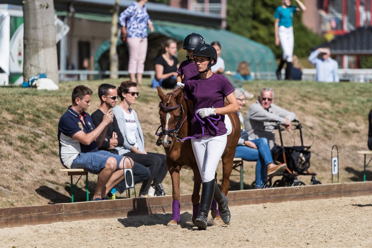 Bild 28 - Pony Akademie Turnier